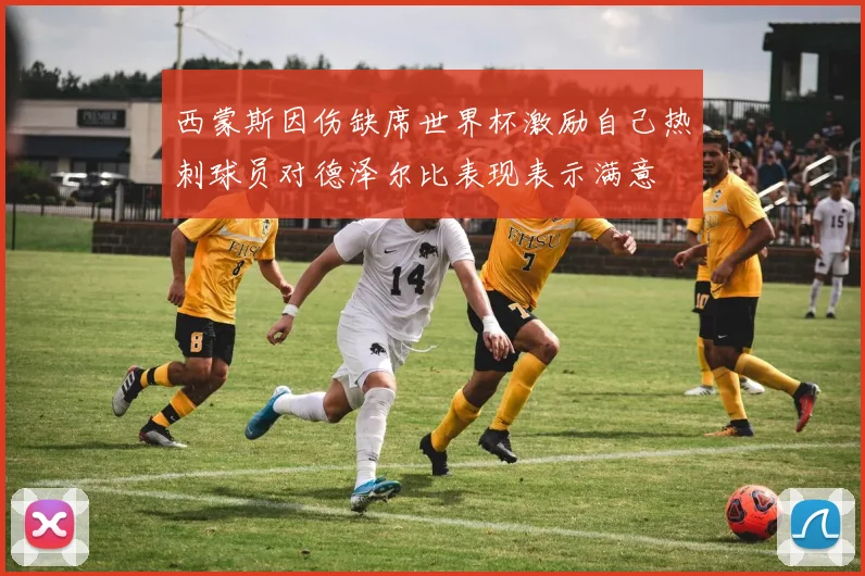 西蒙斯因伤缺席世界杯激励自己热刺球员对德泽尔比表现表示满意