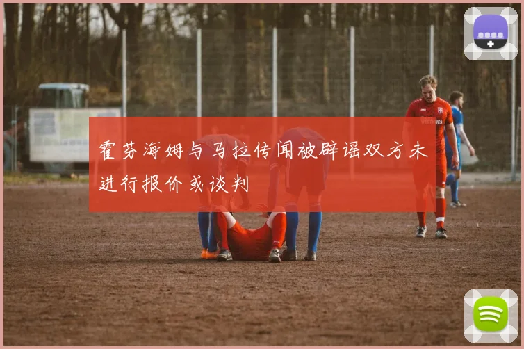 霍芬海姆与马拉传闻被辟谣双方未进行报价或谈判